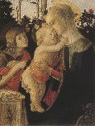 Sandro Botticelli Madonna of the Rose Garden or Madonna and Child with St john the Baptist (mk36) Sweden oil painting artist